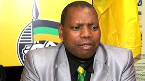 ANC Treasurer-General Zweli Mkhize is one of the candidates vying for the organisation's presidency.