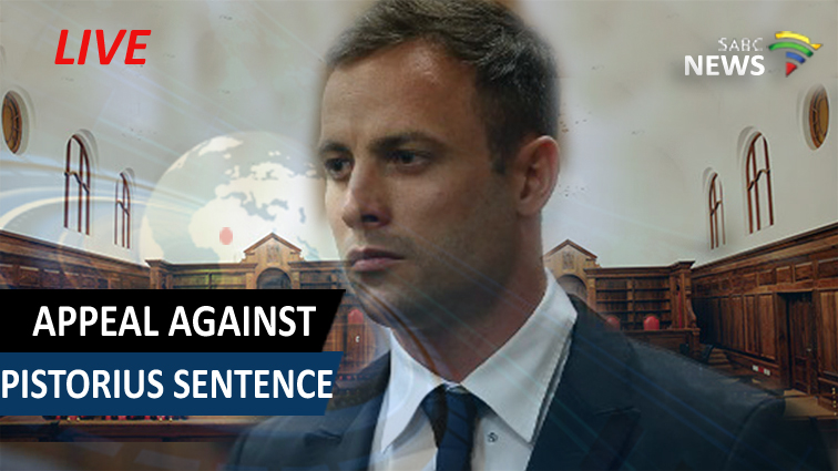 Pistorius was sentenced to six years in prison for the murder of Steenkamp in February 2013.