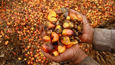 Palm oil plantations in colonial Democratic Republic of Congo were a place of oppression and slavery that created an economic boom in the small town of Leverville now called Lusanga. Picture:REUTERS