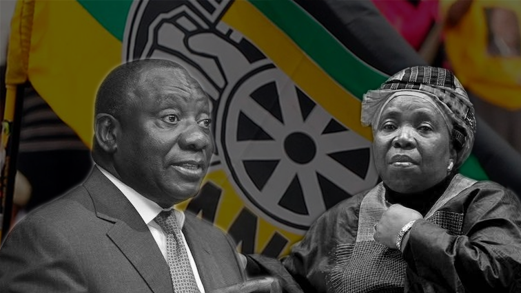 Deputy President Cyril Ramaphosa and ANC Member of Parliament Dr Nkosazana Dlamini-Zuma have both been nominated for the party's presidency.
