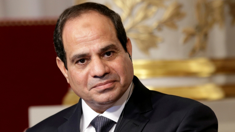 President Abdel Fattah al-Sisi has said population growth is "a challenge as critical as that of terrorism".