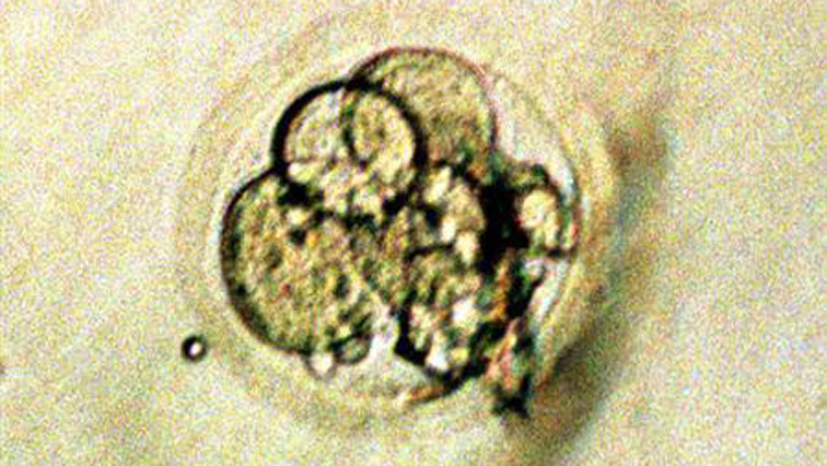 The embryo was conceived by another couple and frozen on October 14, 1992.