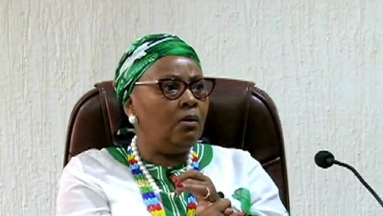 Nosiviwe Mapisa-Nqakula will lose three months' salary to the Solidarity Fund established to fight the spread of COVID-19 and has to make sure the ANC reimburses the state for the trip.