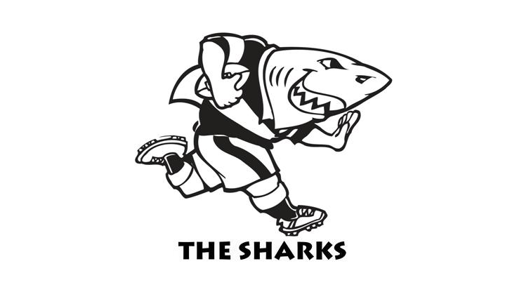 The reports suggest the Sharks will join the Cheetahs and the Kings in the Pro14 next season.