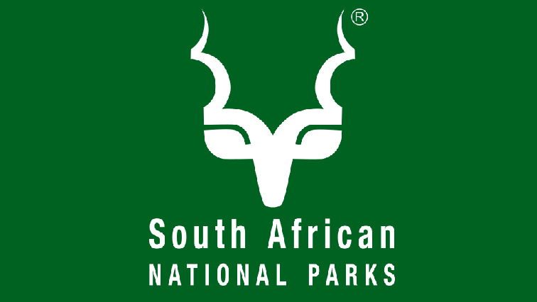 SANParks says alien plant species have been sucking up chunks of water.