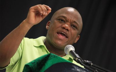 Sihle Zikalala is currently the co-ordinator for the province since the ANC mother body suspended the leadership in January.