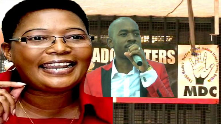 Divisions in the MDC-T are threatening to derail the party's campaigning towards elections.