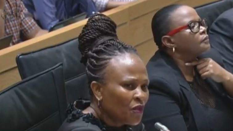 Busisiwe Mkhwebane says there was never any complaint lodged about the Gupta family's alleged involvement in the Vrede dairy project investigation, which started in 2013.