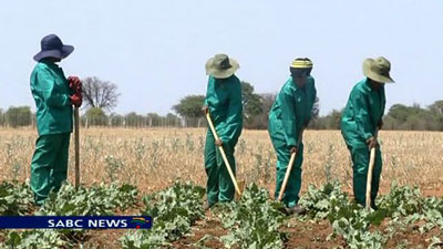 Statistics released showed an increase on farm attacks.