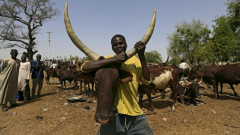 Nigerian cattle herder
