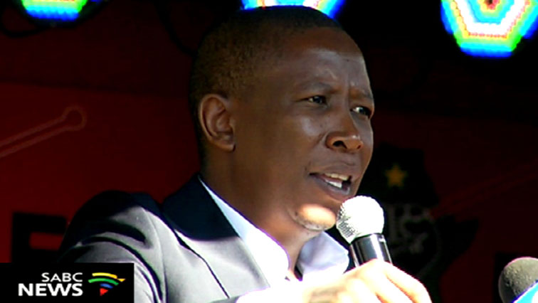 EFF leader Julius Malema believes most Indians are racists.