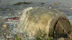 Picture of the polluted water