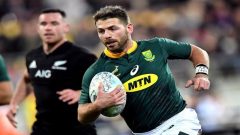 Willie le Roux in action
