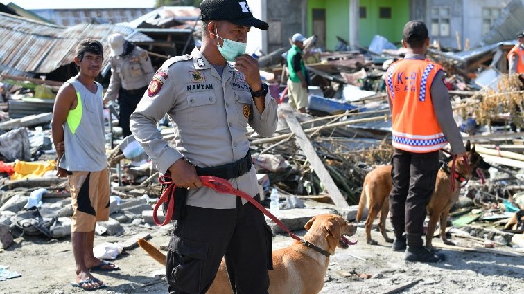 Indonesian K9 police unit searches for victims in Palu, in Indonesia