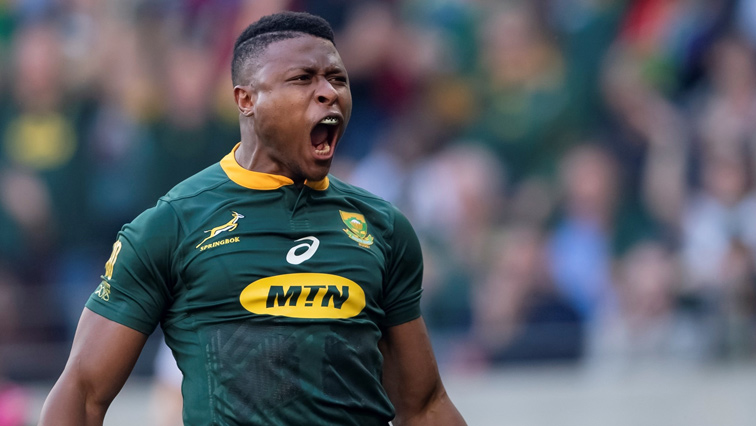 The South African rugby star, Aphiwe Dyantyi, says he is honoured to be playing for the Springboks.