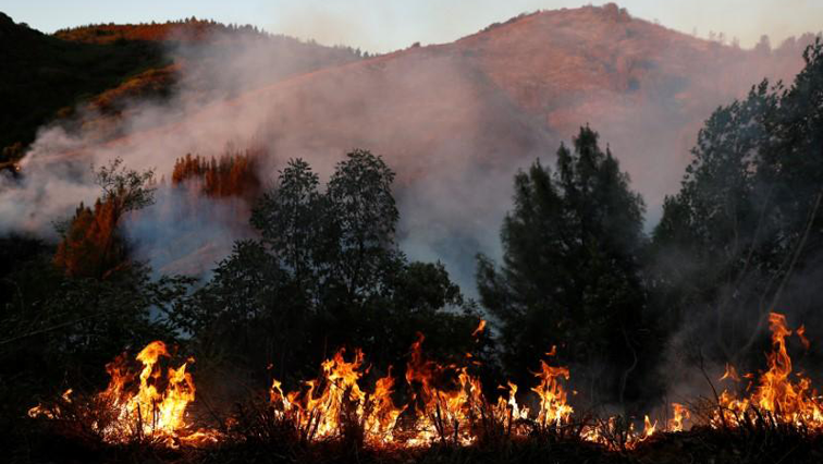 California wildfires