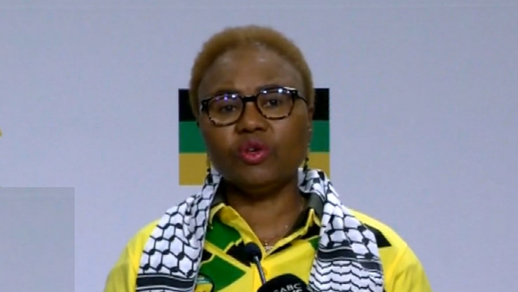 Lindiwe Zulu speaking at media briefing