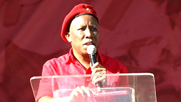 EFF Leader Julius Malema