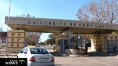 University of Fort Here