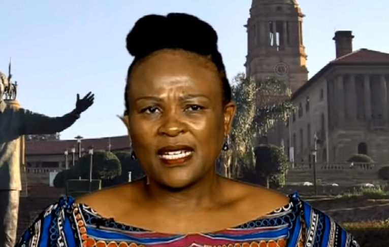 The ministers of Police, Defence, Higher Education, Public Service and Administration and Finance as well as 38 organs of state have not implemented Mkhwebane's remedial action.