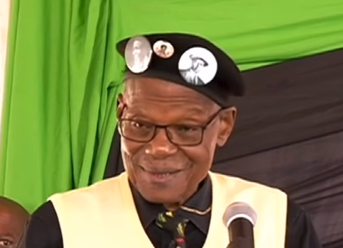 IFP leader, Mangosuthu Buthelezi