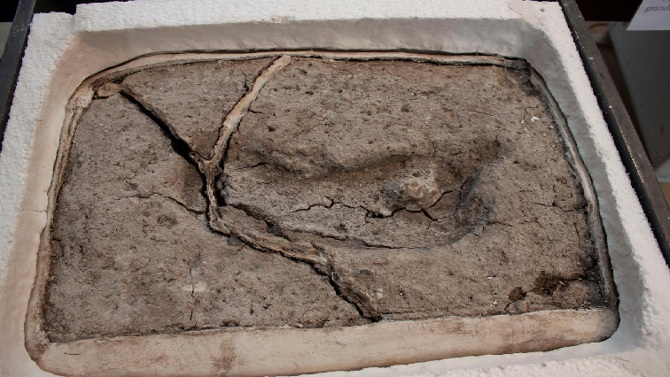 Oldest human footprint.