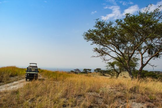 Queen Elizabeth National Park in Uganda.
