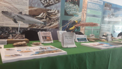 Fishing products on display