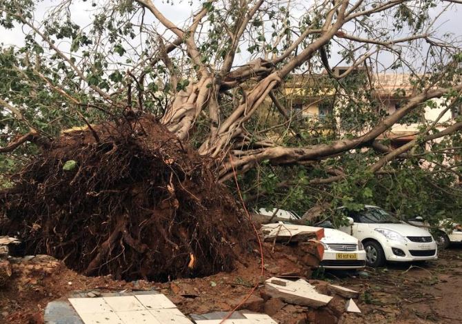 Cars are damaged by an uprooted tree in a residential area following Cyclone Fani in Bhubaneswar, capital of the eastern state of Odisha, India.