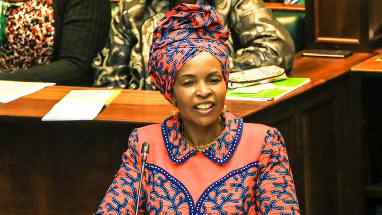 Rural Development Minister Maite Nkoana Mashabane speaking in Parliament.