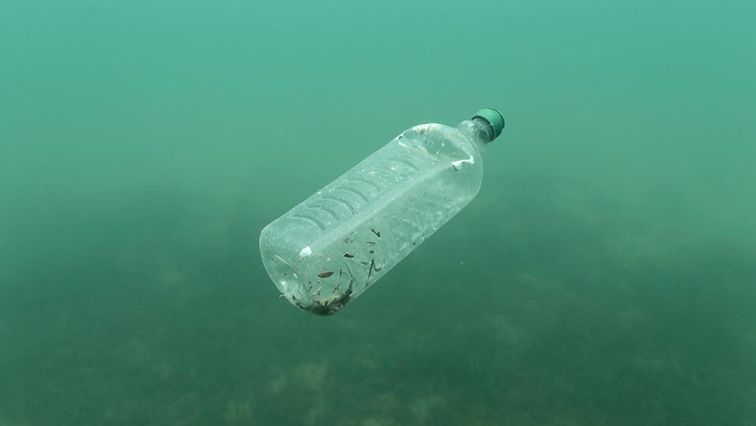 The amount of plastic pollution varies by location, but nowhere is untouched, said the report, which was based on the conclusions of 52 other studies.