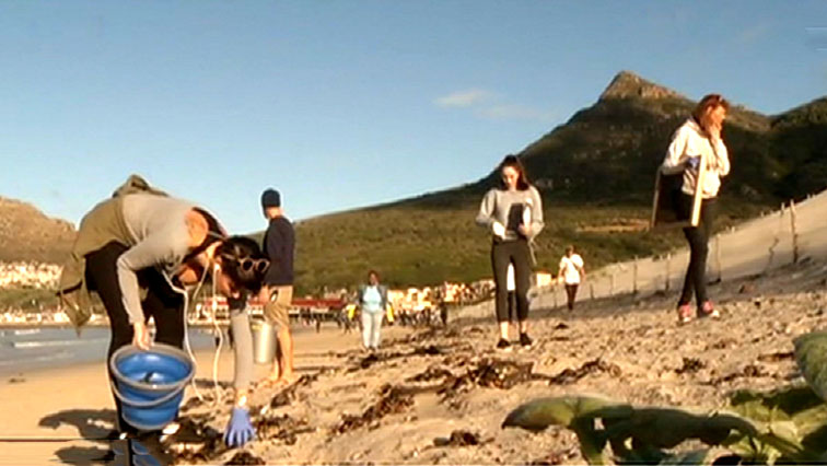 People cleaning up on a beach