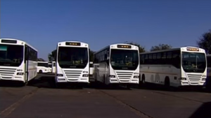 New fleet of busses