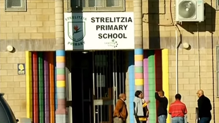 Strelitzia primary School