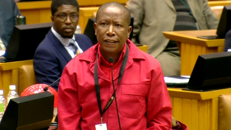Julius Malema in Parliament
