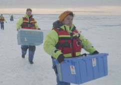 Scientists in the Arctic