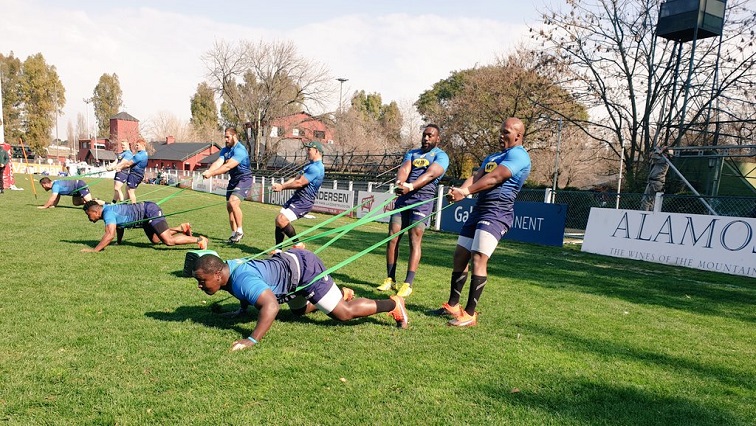 The Boks are poised to lift the Rugby Championships for the first time in 10 years should they manage to come out victorious with a bonus point.