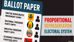 Example of ballot paper