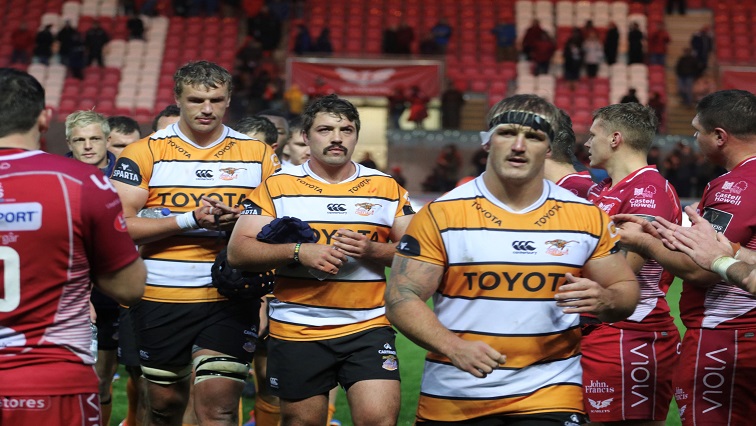 The Cheetahs want to retain their unbeaten record over the Kings.