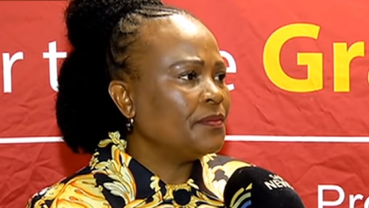 Public Protector Busisiwe Mkhwebane is challenging the new rules the National Assembly has drawn up for the removal of the heads of Chapter Nine institutions.