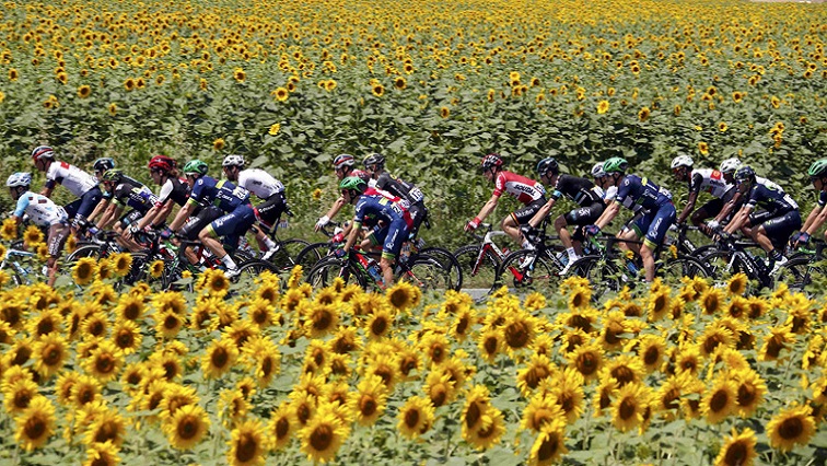 The pack of riders cycles past a field of sunflowers during Tour de France cycling race in France, on Friday, July 8, 2016.