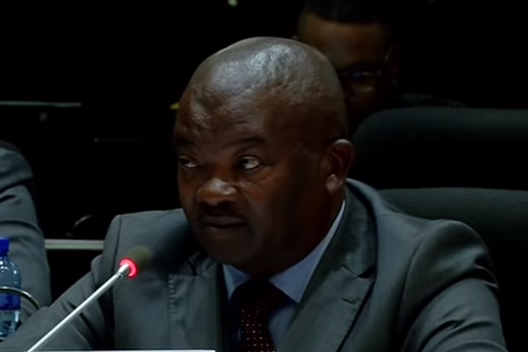 Defence portfolio committee member Bantu Holomisa says they will invite different stakeholders to make presentations once lockdown restrictions are lifted