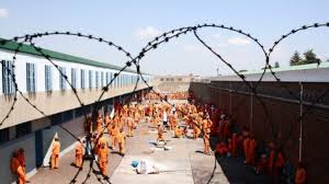 Government says to date, of the 19 000 prisoners earmarked for release, approximately, 7 000 have returned home.