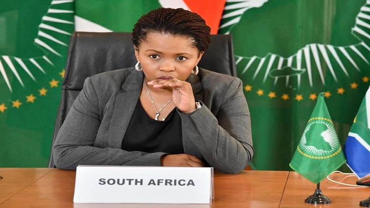 Spokesperson to the President, Khusela Diko, has taken leave of absence and will temporarily relinquish her roles in government.