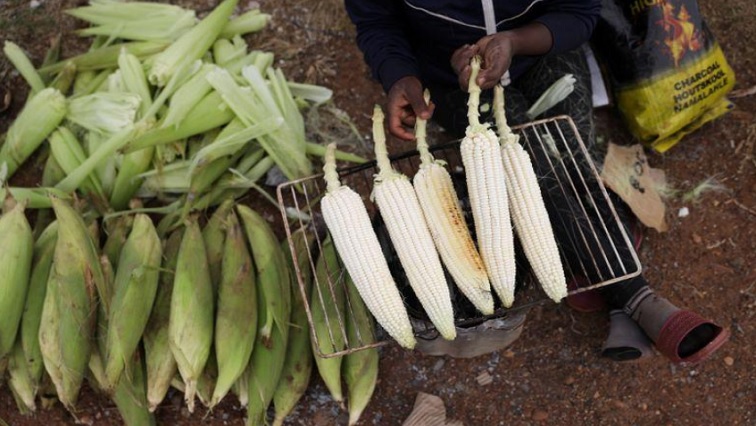 A woman roasts maize cobs on the side of the road in Lawley informal settlement in the south of Johannesburg, South Africa, April 24, 2019.