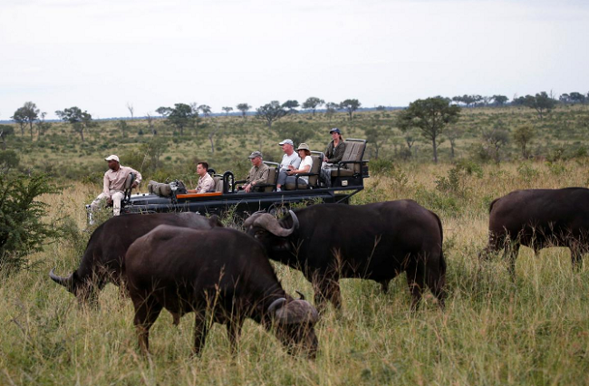 Tour operators will be allowed to conduct guided tours in open safari vehicles.