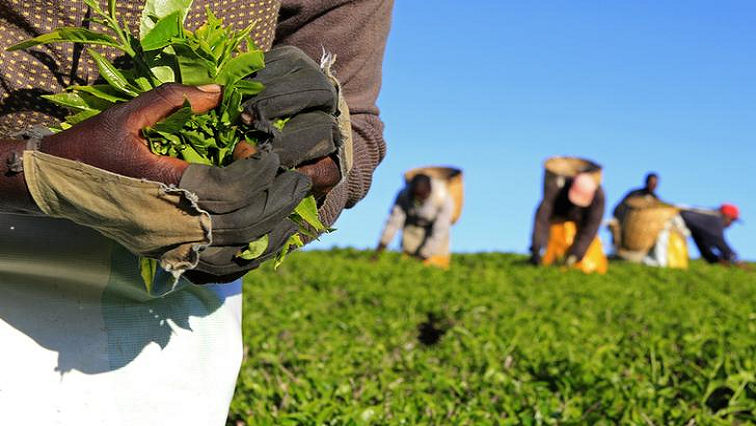 The total number of persons employed in the formal non-agricultural sector in South Africa is approximately 9.6 million.
