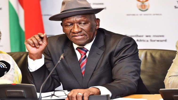 Cele says Malema's statements were reckless and irresponsible.
