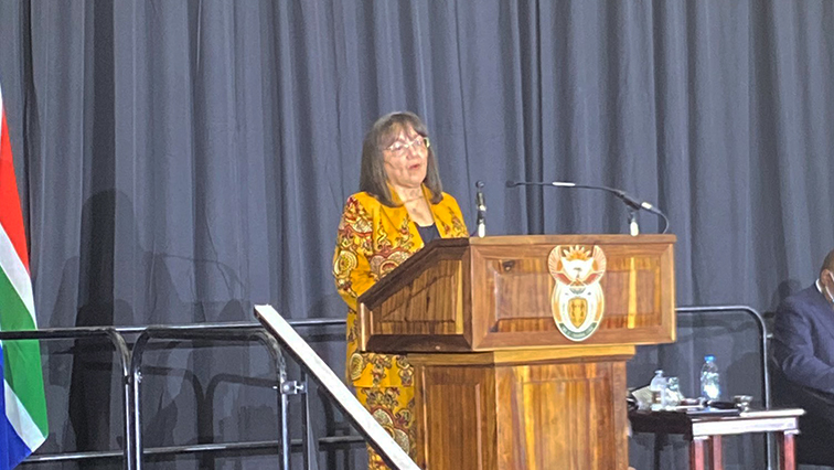 Public Works and Infrastructure Minister Patricia De Lille says all these projects will be subjected to independent due diligence to avoid the corruption.