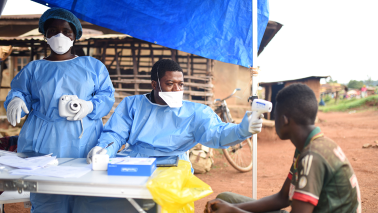 Ebola, one of the deadliest viruses known to humanity, can be transmitted to humans from bats or monkeys.